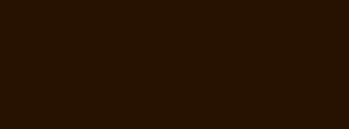 Dark (Chocolate) Brown