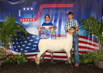Champion Ram - Fall Ram Lamb